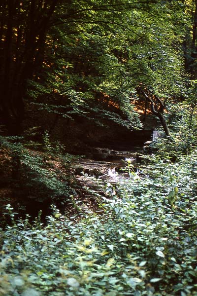 Rka-vlgy