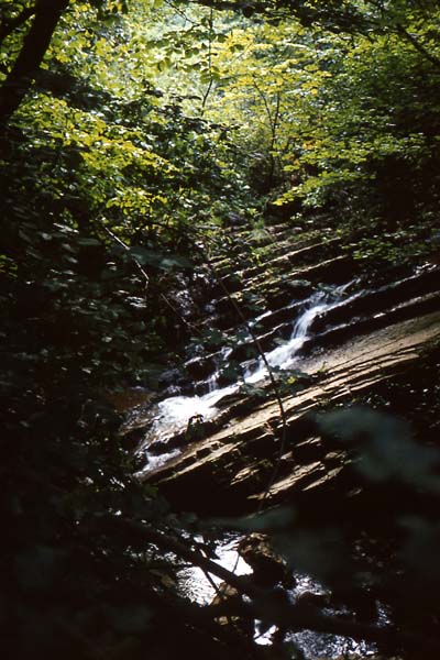 Rka-vlgy